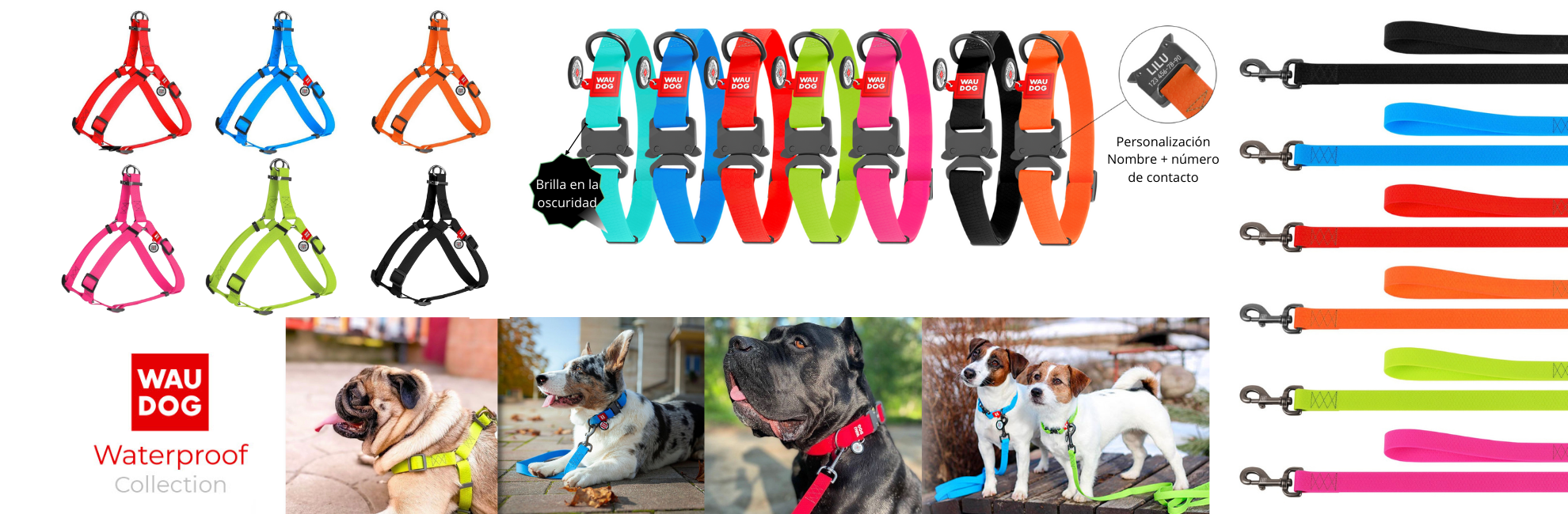 Waudog Collar - Arnés - Correa - Accesorios waterproof