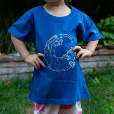 Polera niño azul chungungo