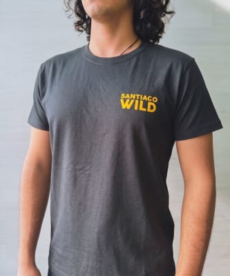 Polera SW 2026