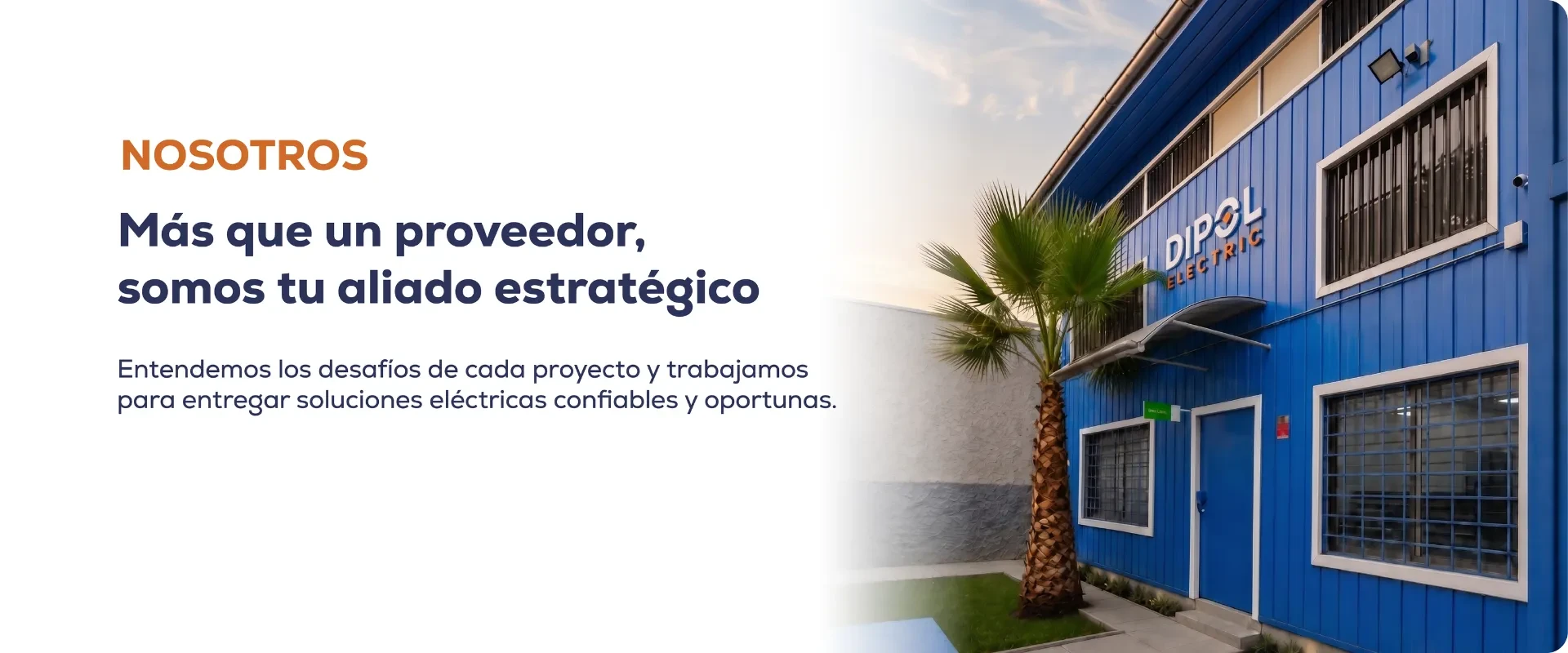 Sobre Dipol Electric