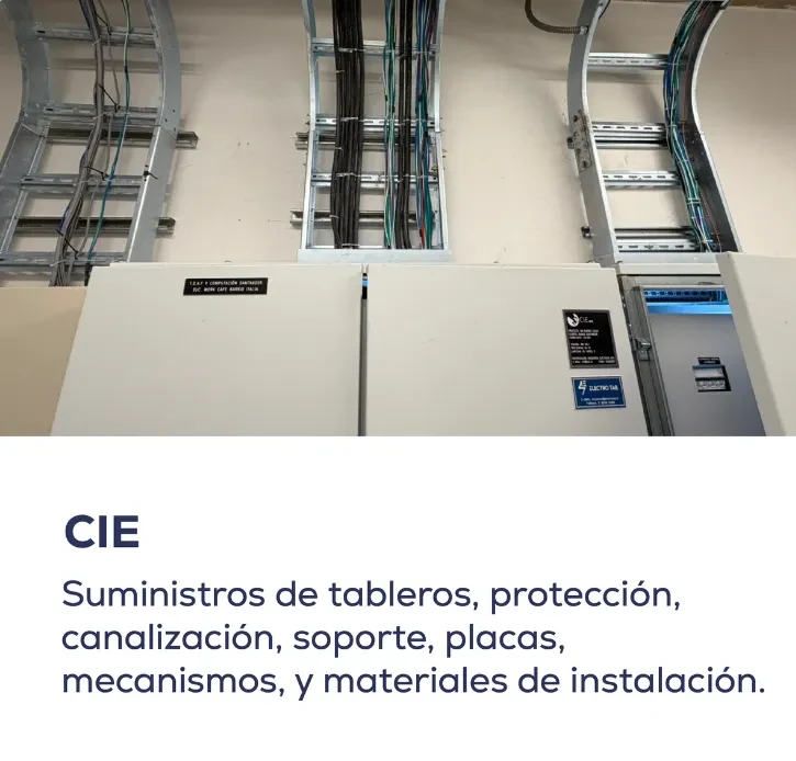 Proyecto CIE