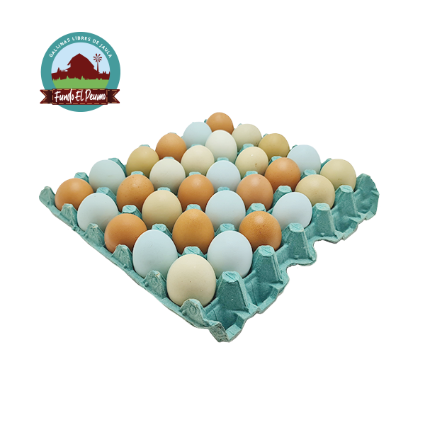 Huevos Gallina Libre