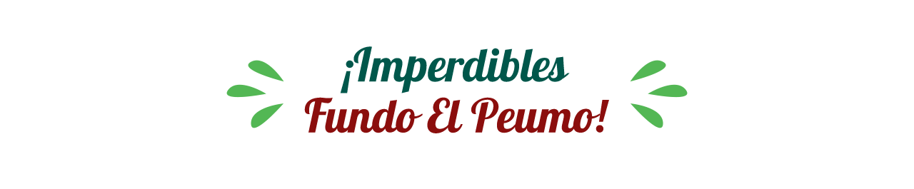 Destacados