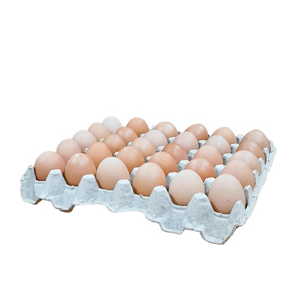 Bandejas de Huevos
