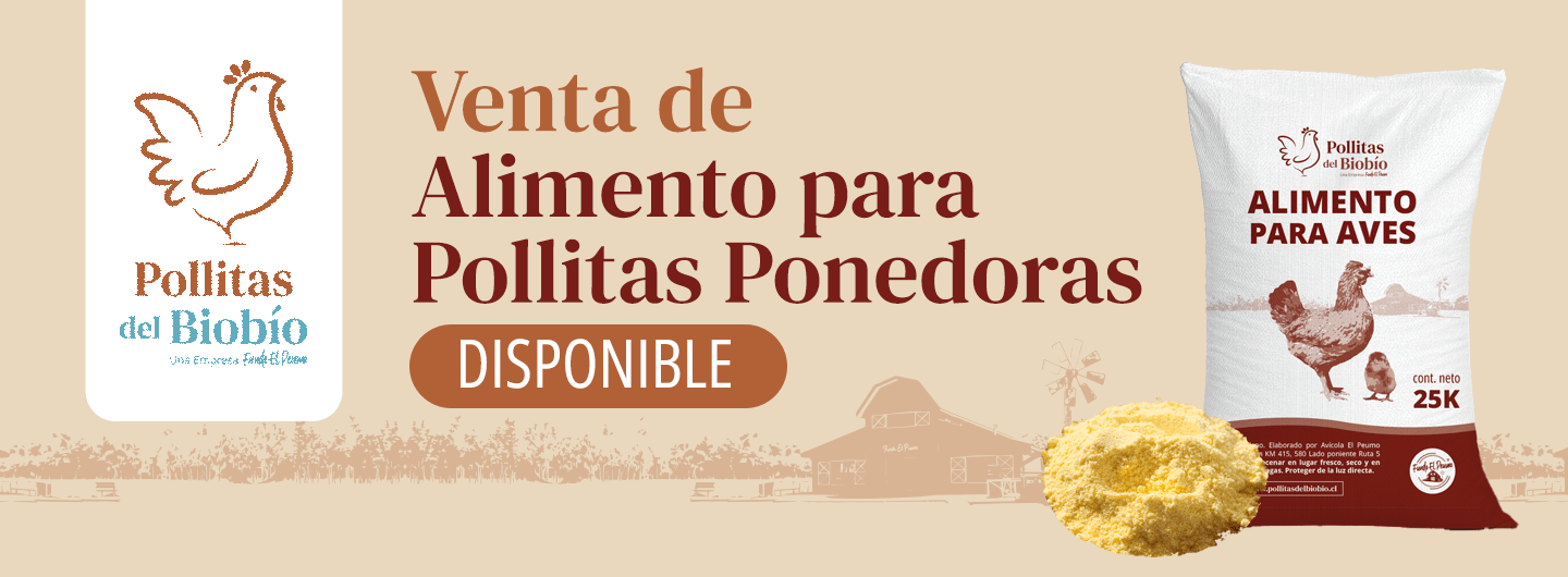 Ofertas Fundo El Peumo