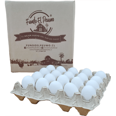 CAJA HUEVO SUPER BLANCO 100U