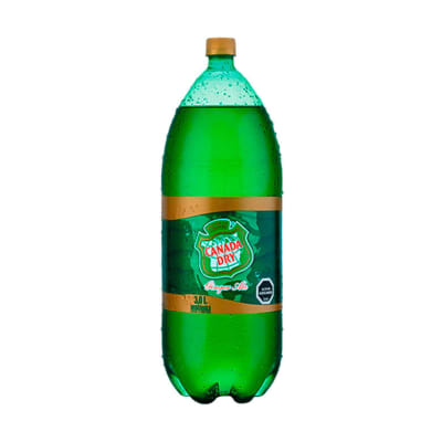DISPLAY BEBIDA CANADA DRY 3LT 6U1