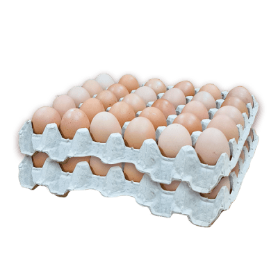 60 HUEVOS SEGUNDA COLOR