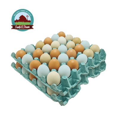 60 HUEVOS SEGUNDA LIBRE1