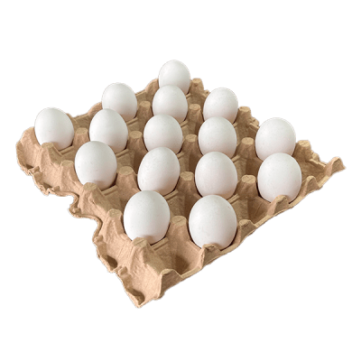 BANDEJA JUMBO BLANCO 15U1