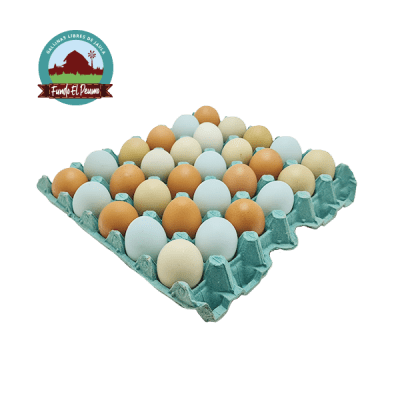 BANDEJA PRIMERA GALLINA LIBRE 30U
