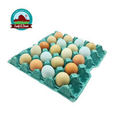 BANDEJA SUPER GALLINA LIBRE 20U