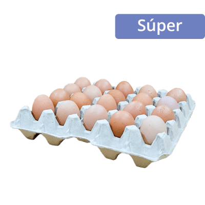 BD HUEVO ENVASADO SUPER CAFE 20 U1