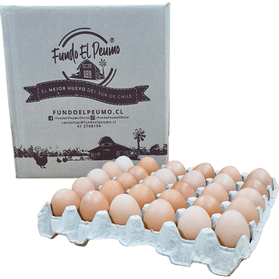 CAJA HUEVO EXTRA CAFÉ 180U1