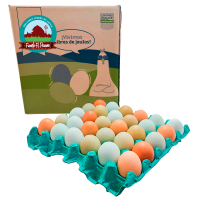CAJA HUEVO EXTRA COLORES GALLINA LIBRE 180U