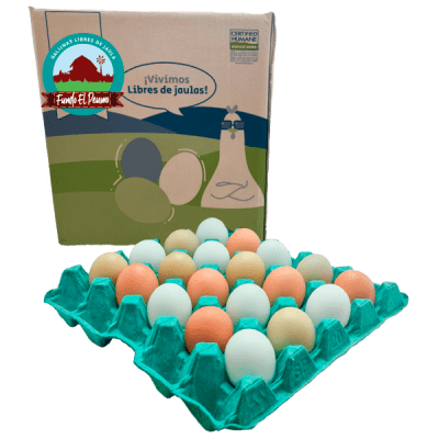 CAJA HUEVO SUPER COLORES GALLINA LIBRE 100 U
