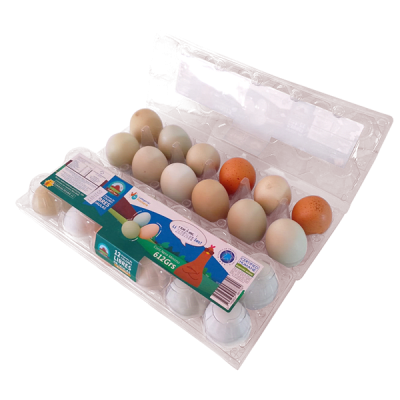 ESTUCHE PRIMERA GALLINA LIBRE 12U