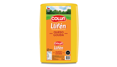 PIEZA QUESO GAUDA LLIFEN COLUN 10 KG