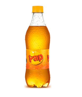 DISPLAY BEBIDA PAP 600ML 12 UND1