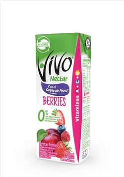 CAJA NECTAR VIVO BERRIES 190ML 24U1