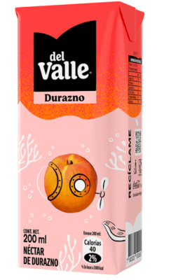 CAJA NECTAR ANDINA DEL VALLE DURAZNO 200ML 24U1