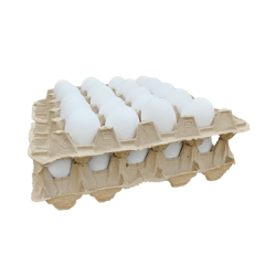 40 HUEVOS SUPER BLANCO