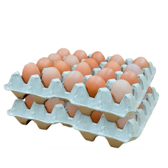 40 HUEVOS SUPER COLOR