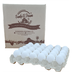 CAJA HUEVO EXTRA BLANCO 180U