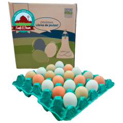CAJA HUEVO SUPER COLORES GALLINA LIBRE 100 U