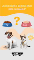 ¿Cómo elegir el alimento ideal para tu mascota?