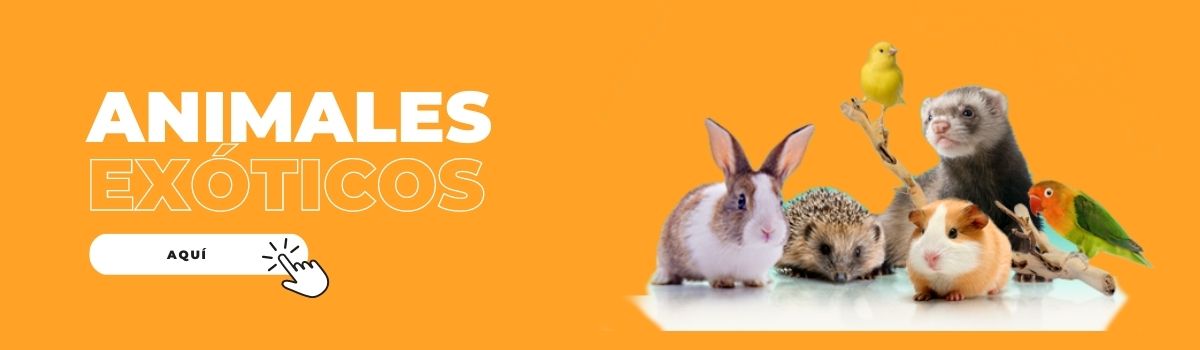 Exoticos