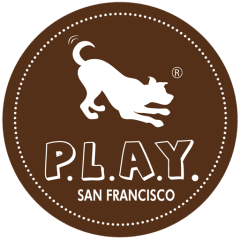 Play