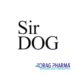 Sir Dog
