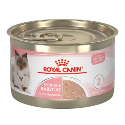 ROYAL CANIN LATA MOTHER & BABYCAT