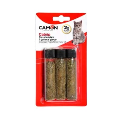 CAMON HIERBA GATERA CATNIP