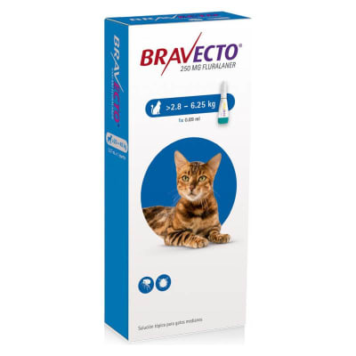 BRAVECTO GATOS 250 MG