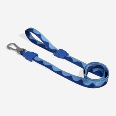 ZEE DOG SWELL LEASH1