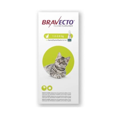 BRAVECTO PLUS GATO