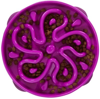 OUTWARD HOUND COMEDERO LENTO L PURPURA