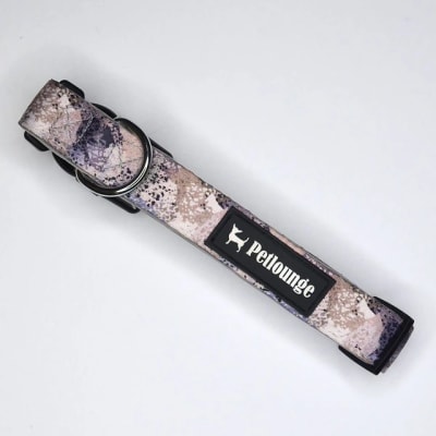PETLOUNGE COLLAR UNDER THE SKY1