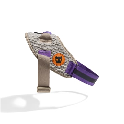 ZEE DOG ACG FLYHARNESS