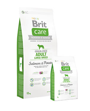 BRIT CARE GRAIN FREE ADULT LARGE BREED SALMON & POTATO