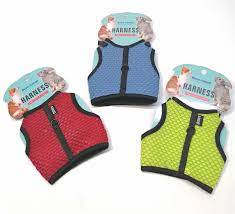 BUEN AMIGO ARNES GATO Y CONEJO1