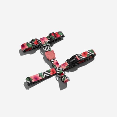 ZEE DOG MAHALO H HARNESS