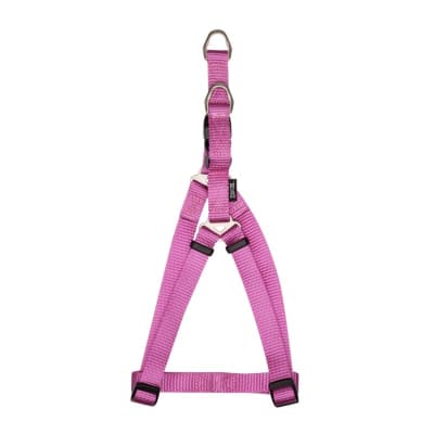 ZEUS ARNES FIGA FUCSIA1