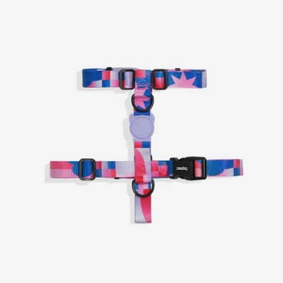 ZEE DOG NOON H HARNESS1
