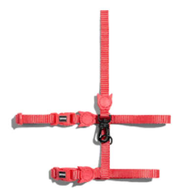 ZEE DOG NEO CORAL LEASH + HARNESS SET1