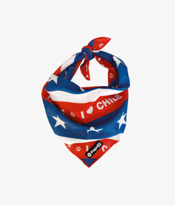 PEPOLLI PAÑUELOS CHILE1