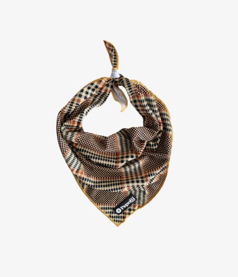 PEPOLLI PAÑUELOS DUBLIN1