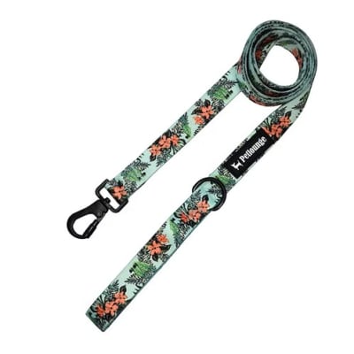 PETLOUNGE CORREA BLUE PARROTS1